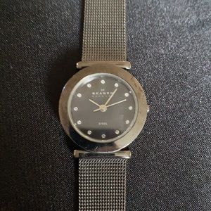 Skagen Watch